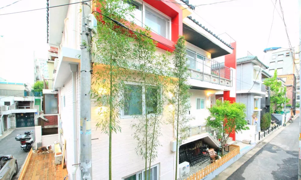 ZIBRO H Guesthouse - Hostel