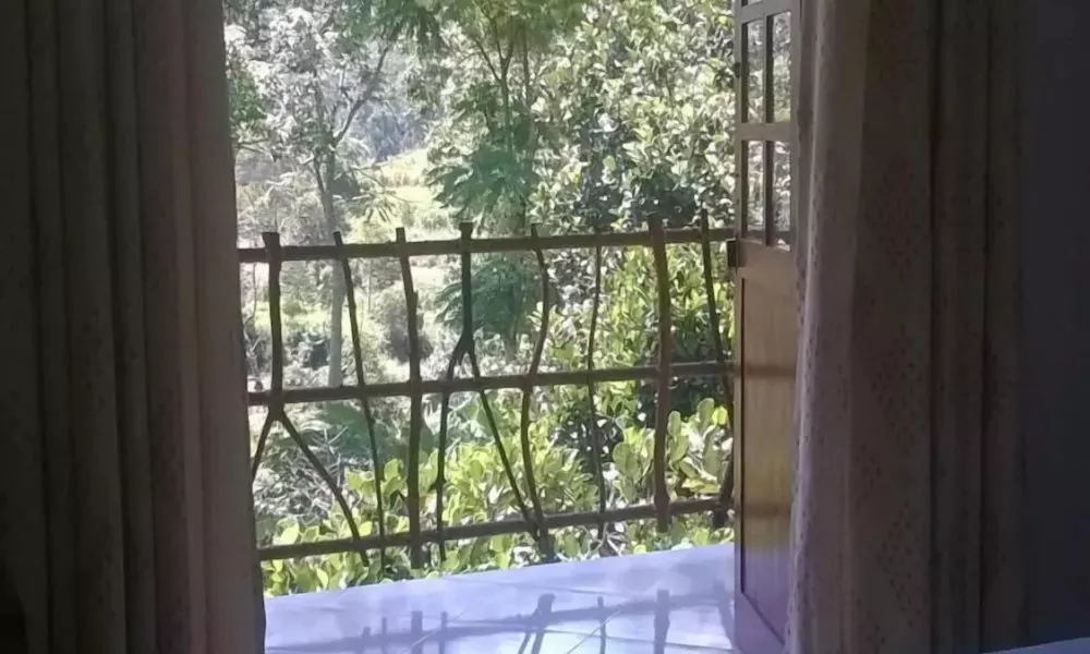 Ëlla Breeze Homestay, фото 3