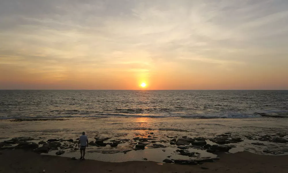 Boutique Health-focused Hotel on the Beach in Sri Lanka, Just North of Colombo, фото 5