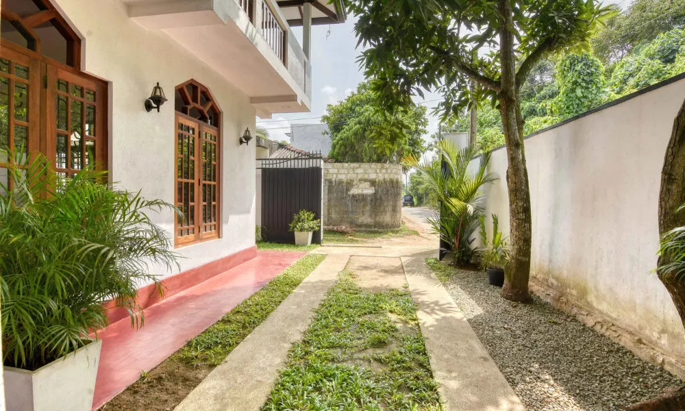 Blue Lotus Galle