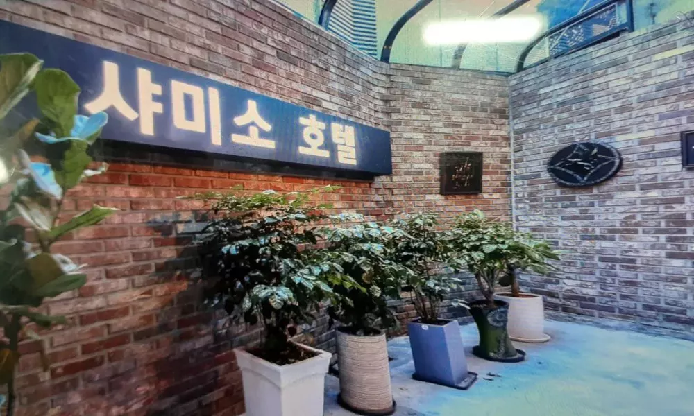 Hound Hotel Sungshin Women's University Branch, фото 3
