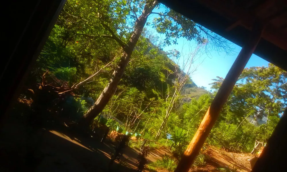 Walkers Nest, фото 4