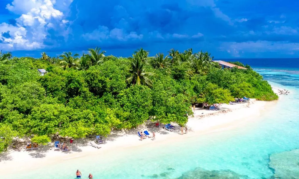 Brick Wood Rasdhoo