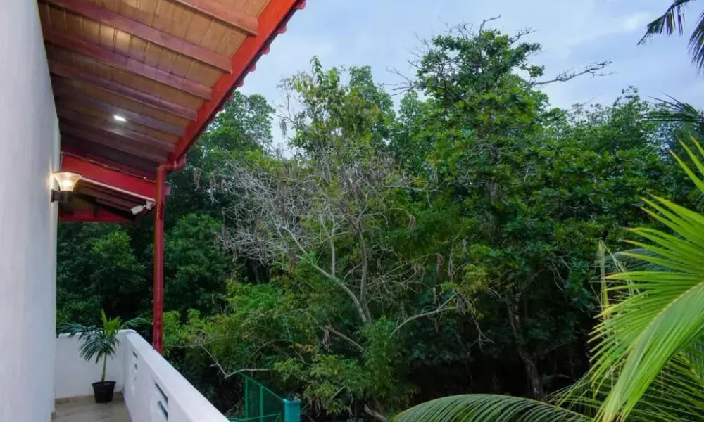 Serene Vista Villa, фото 4