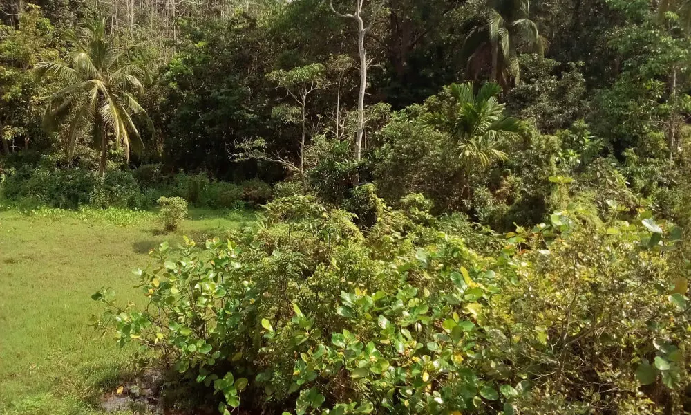 Nexus villa, фото 4