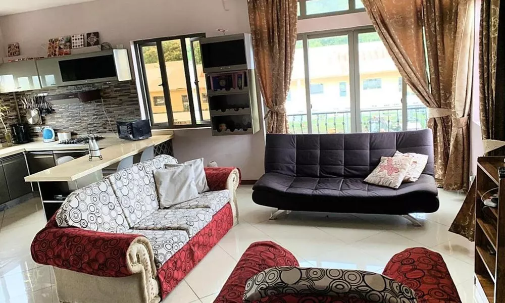Mount view executive apartment, фото 4