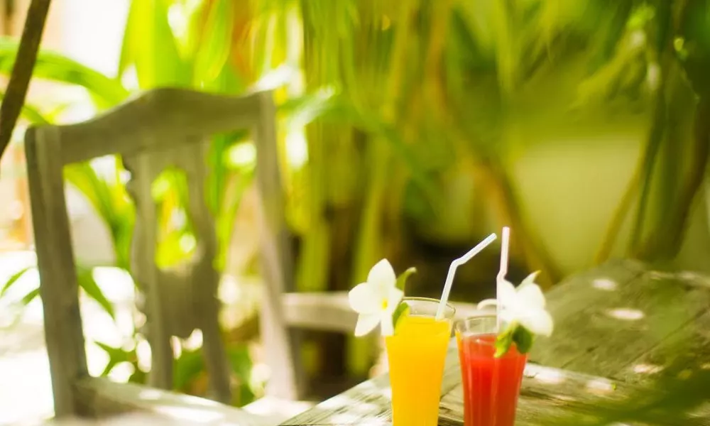 Faza View Inn, фото 5