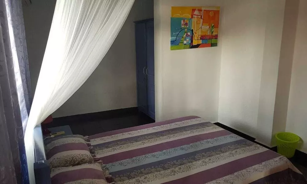Lapiroguevilla, фото 3
