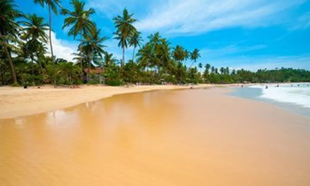 Darshani Negovilla, фото 5