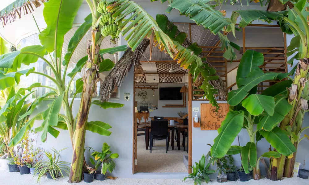 Dhiffushi Inn, фото 5