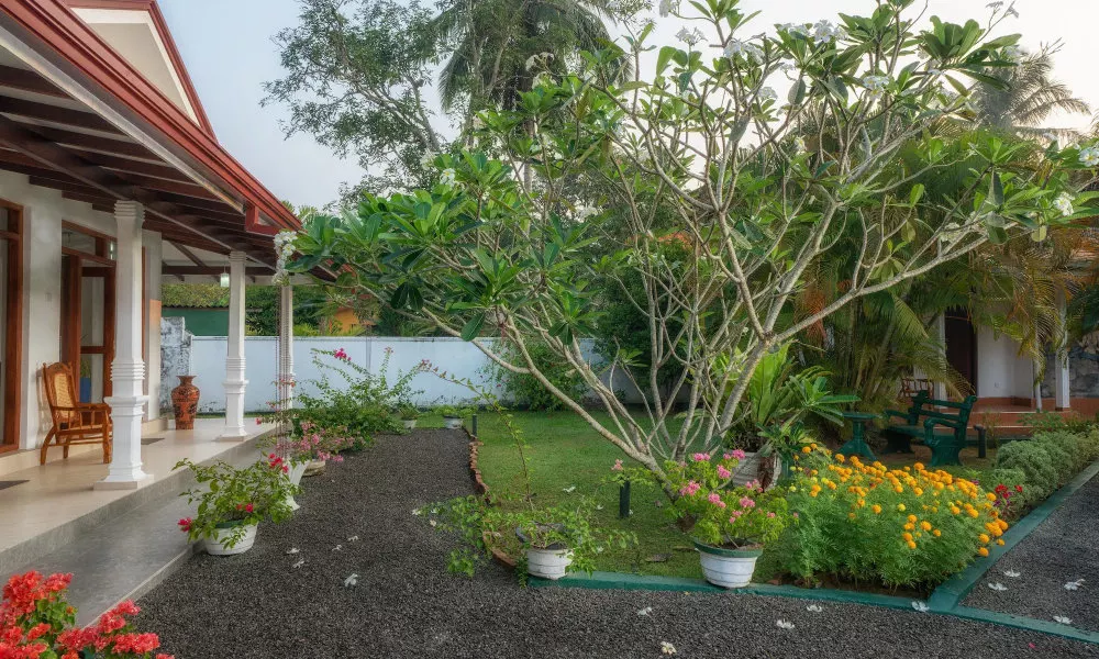 Villa Araliya - Beruwala, фото 5