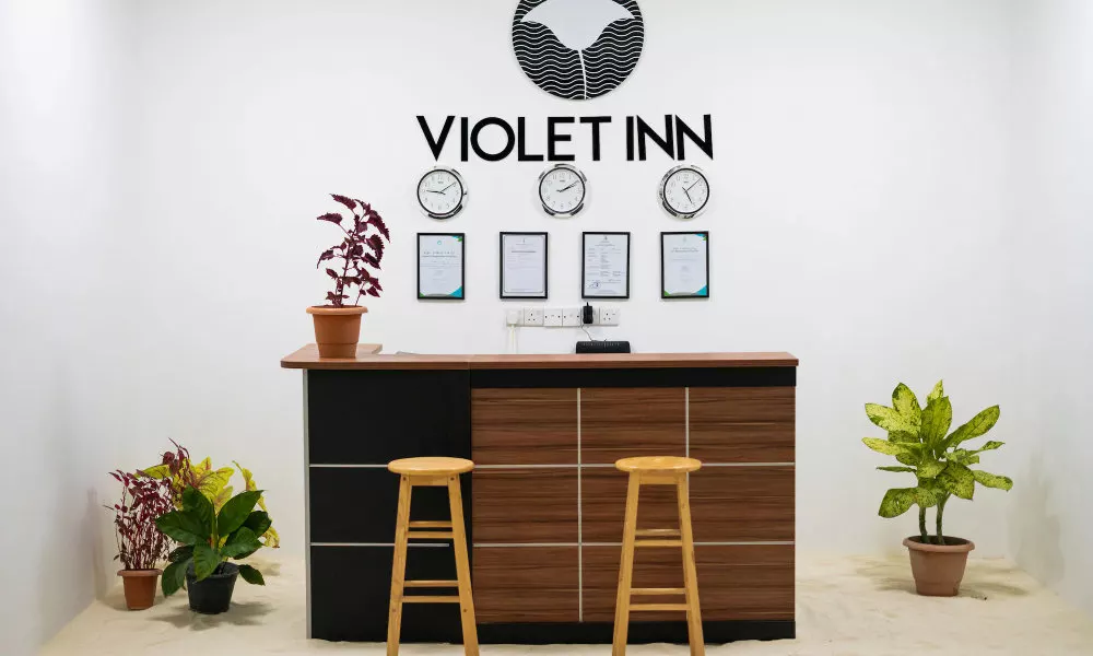 VIOLET INN, фото 5