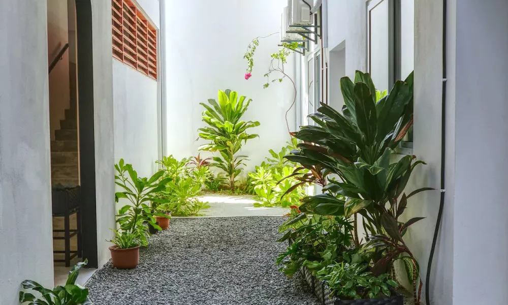 Island Ambience, фото 5