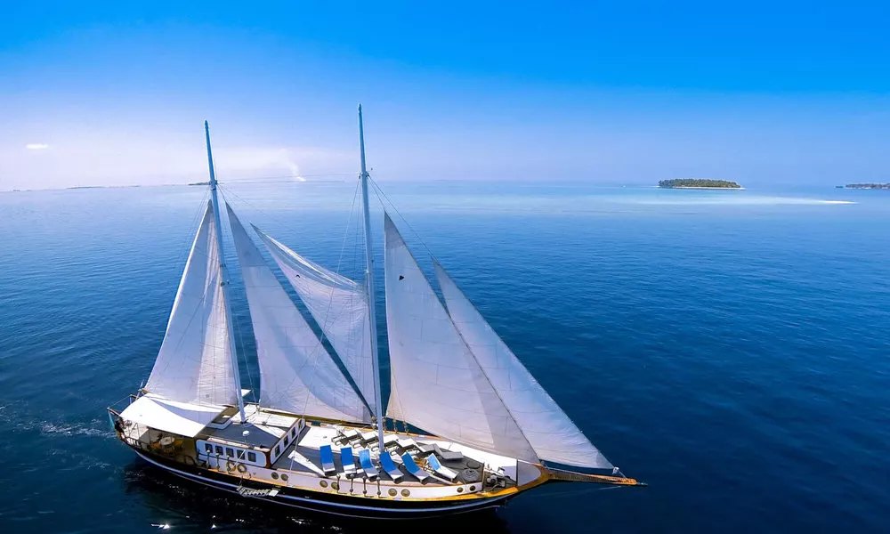 Dream Voyager