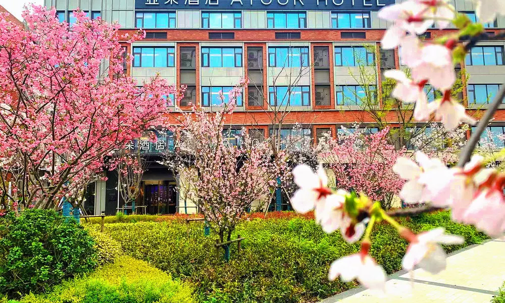 Atour Hotel, фото 3