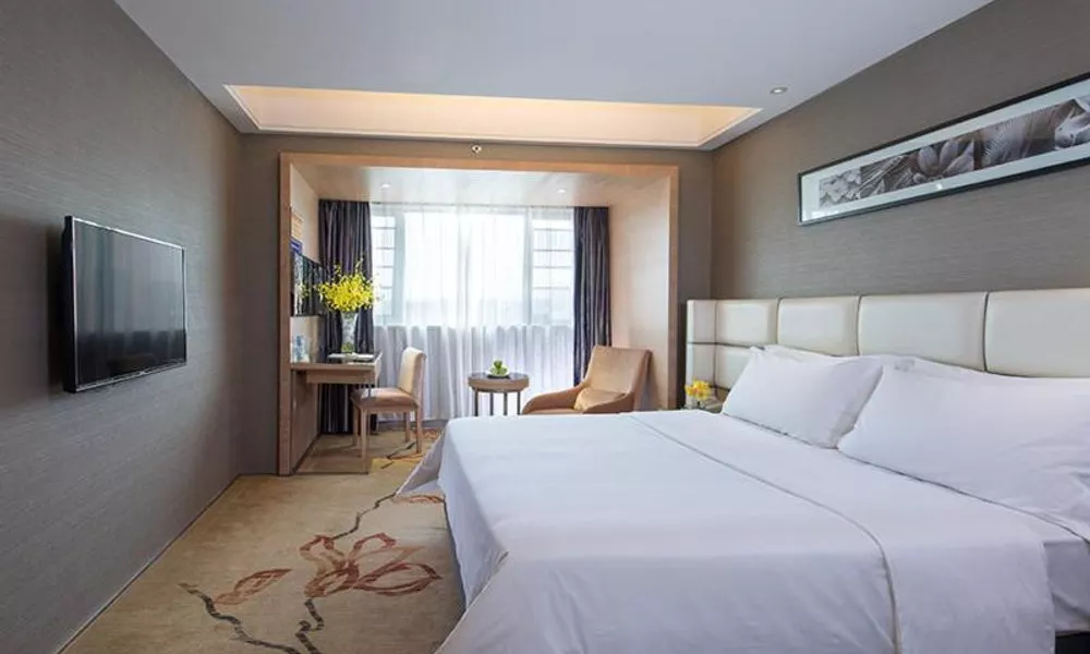 Vienna Hotel - Guangzhou South Railway Station Branch, фото 2