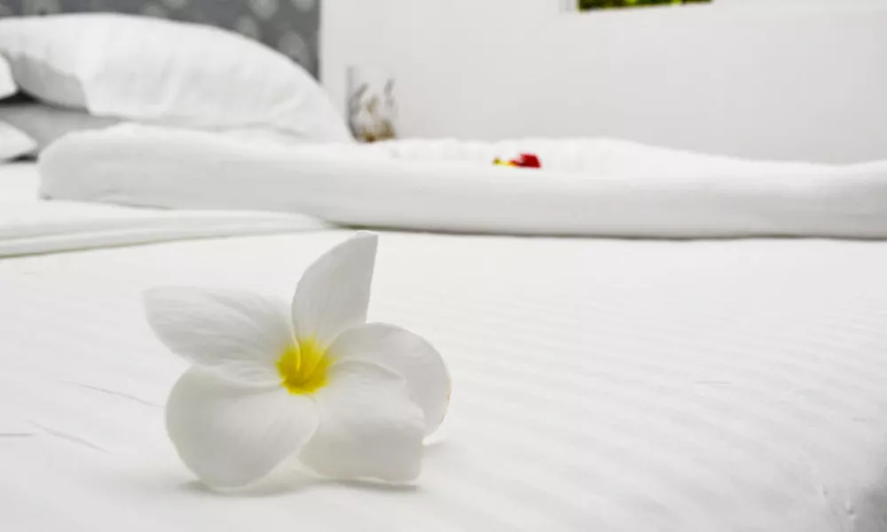 Empyrean Stay, фото 2