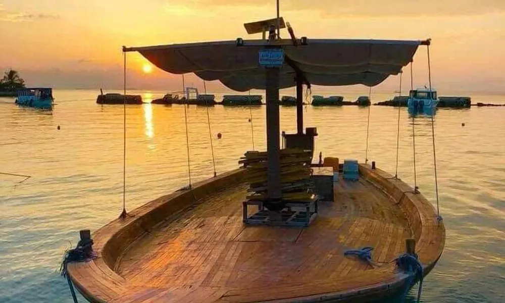 Blue ocean maldives, фото 3