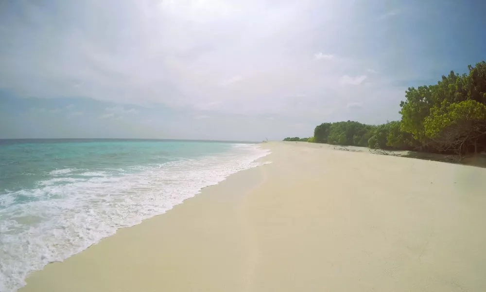 ANNAMA LODGE AND DIVE, фото 3