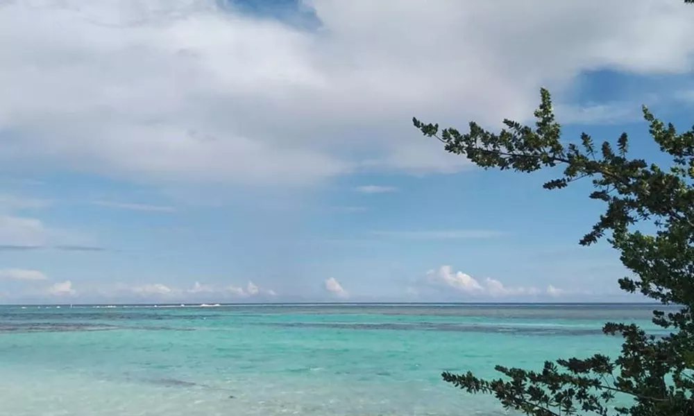 Bahari Lodge, фото 4