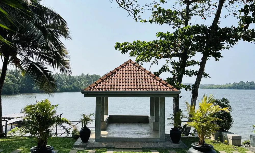 The Niche by DBI