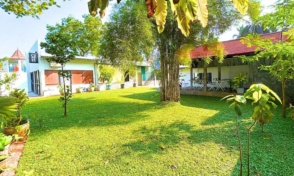 The Ivy Lake, фото 4