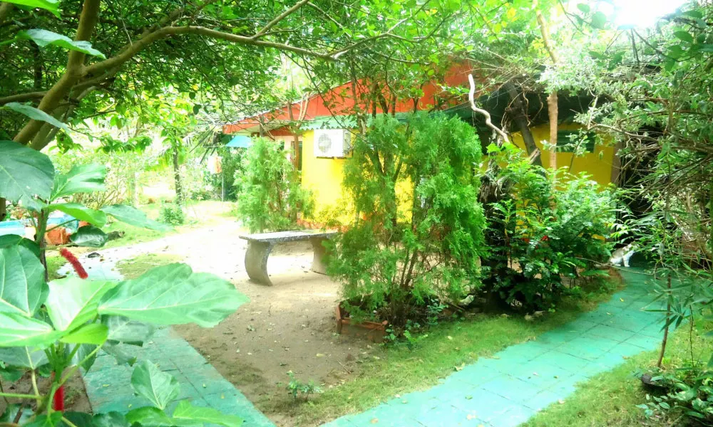 Coral Beach Villa, фото 4