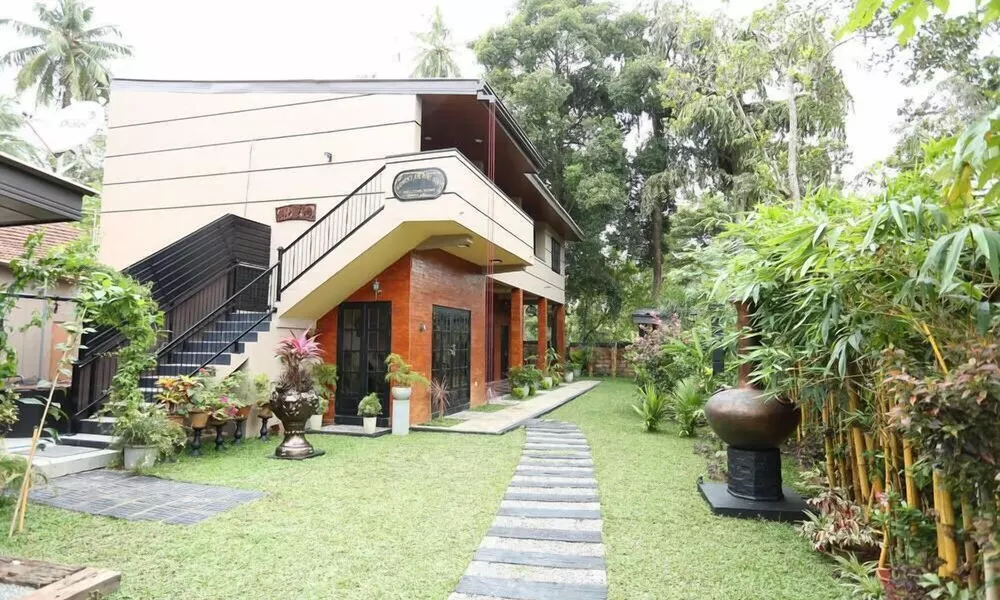 Edwin's Airport Garden