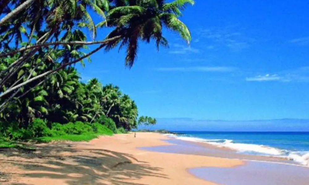 Adara Negombo, фото 4