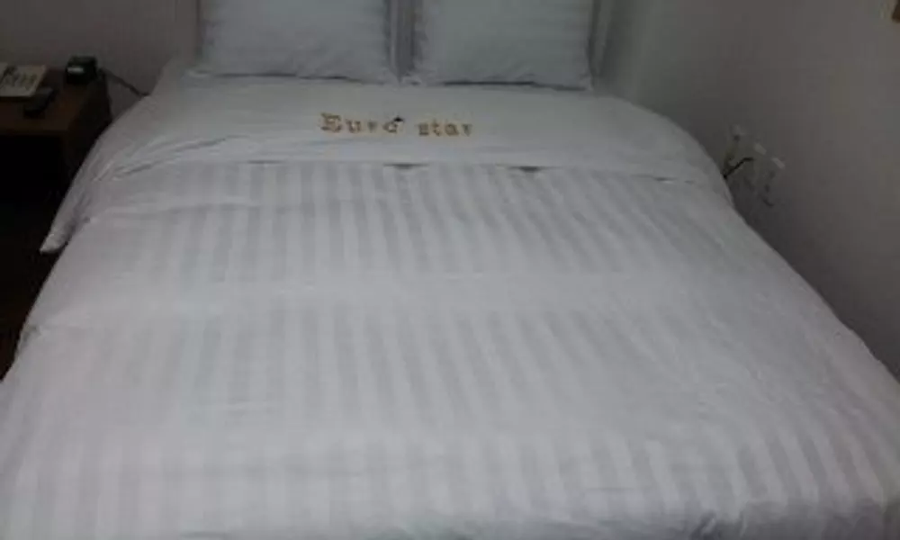 Euro Star, фото 3