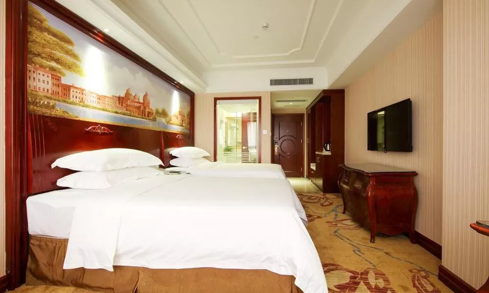 Vienna International Hotel (China South City), фото 2
