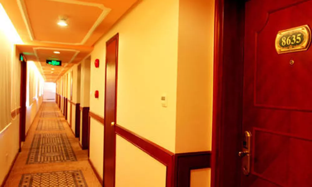 Vienna Hotel Shenzhen Minzhi Branch, фото 4