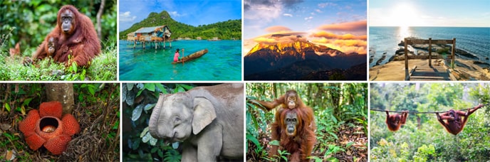 Туры на Борнео