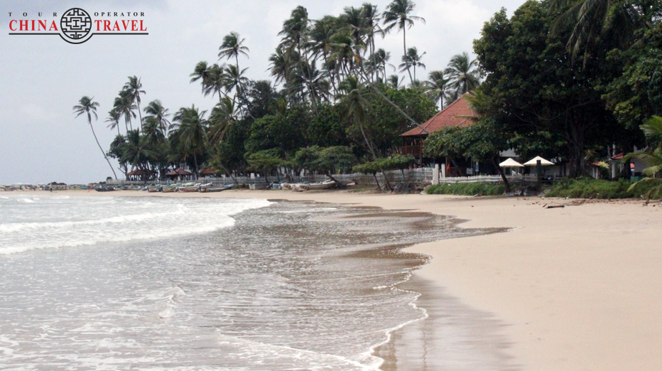 Лучшие пляжи Шри-Ланки - фото 1